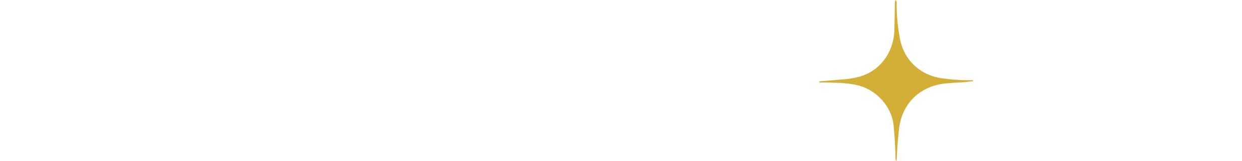 Smartnova Logo-white